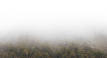 De niebla y aguaceros