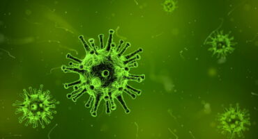 El nuevo coronavirus 2019-nCoV