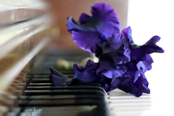 Cuadros con música – El piano en la pintura