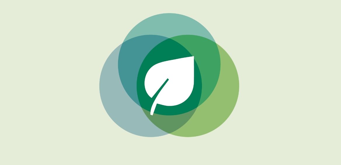 Bankia y Fundación Cajamurcia lanzan la ‘I Convocatoria de Medioambiente y Desarrollo Sostenible’
