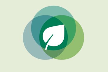 Bankia y Fundación Cajamurcia lanzan la ‘I Convocatoria de Medioambiente y Desarrollo Sostenible’