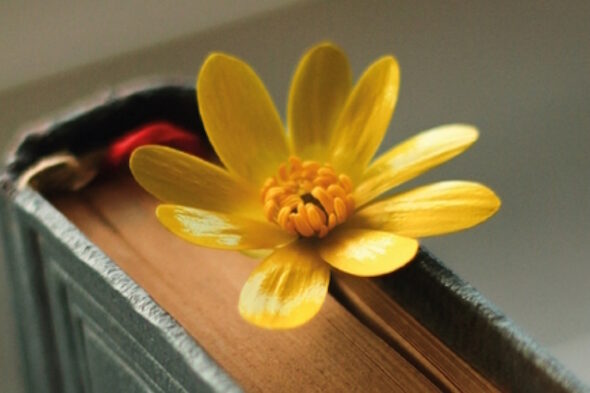 Club de Lectores de Fundación Cajamurcia