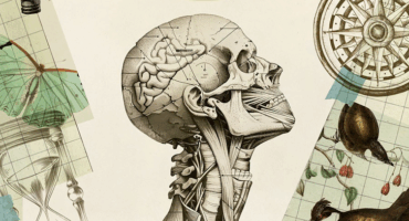 El sueño del Sapiens