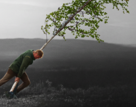 Amar en tiempos de miedo