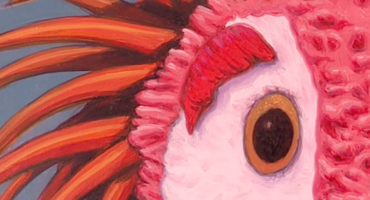 El Solo de las Claras