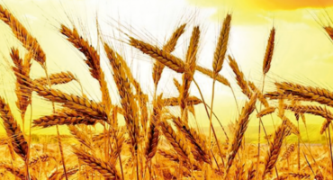 La Transición. Era de la concordia